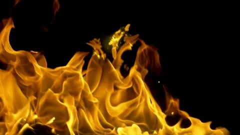 Vivid Flames Dance in Darkness Showcasing Fiery Energy and Intensity Video stock 341920298