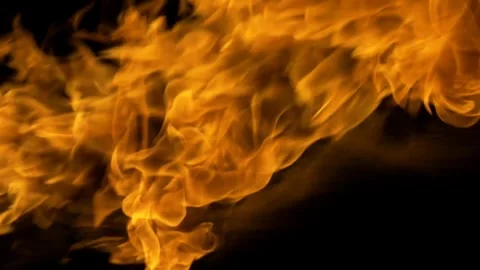 Vivid Flames: Fiery Display of Dancing Orange Flames in High Contrast Vídeos de archivo 341920357