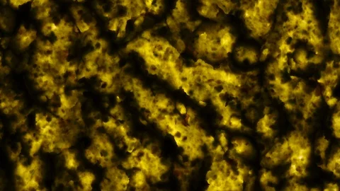 Vivid flat-lay view of avocado smash rotating in 4K. Vidéo 89891497