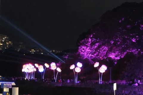 Vivid Flower 2023 Stock Photos