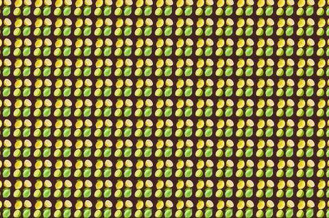 Vivid fruit pattern of fresh lemon background Stock Photos