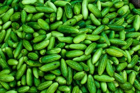 Vivid green cucumbers pattern background Stock Photos