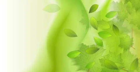Vivid green spring wavy background with leaves Illustrazione stock