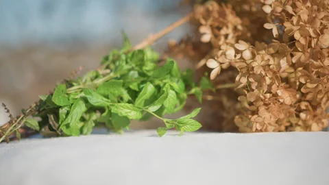 Vivid herbs and dried hydrangea on cheerful kitchen ledge. Natural light Vídeos de archivo 346398413
