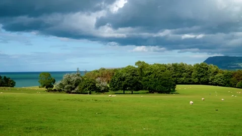 Vivid hill landscape Stock Footage 311890213