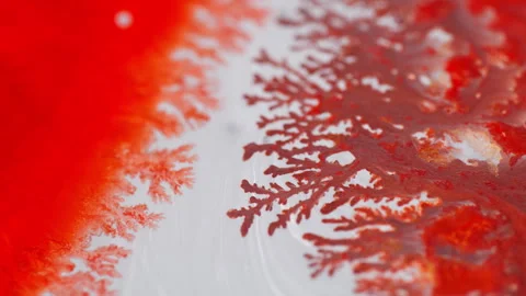 Vivid Ink Flow Macro Shot Capturing Dynamic Texture and Color Patterns Vidéo 327346165