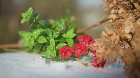 Vivid mint and rose petals on snow enhance home cooking ideas. Lively display of Stock Footage 346409656