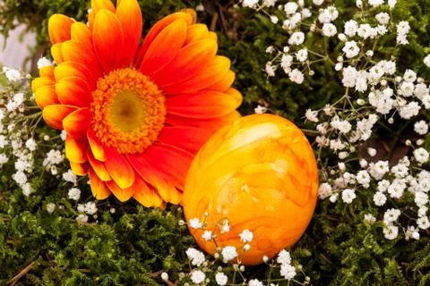 Vivid orange Easter egg with a gerbera and rose Stock Photos