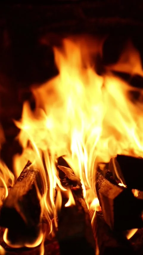 Vivid orange flames rising from burning wood Stock Footage 317440448