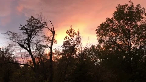 Vivid Pink Sunset Stock Footage 169974507
