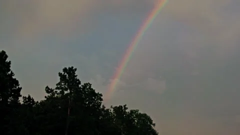 Vivid Rainbow Arcing Above Forest Trees at Sunset in the USA – Serene Nature Stock Footage 342301967