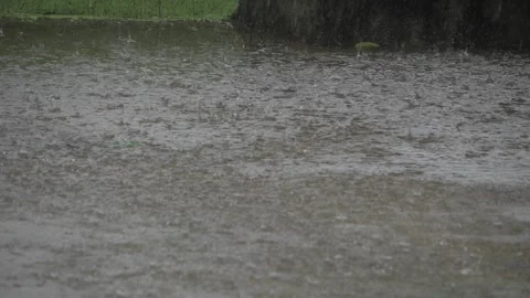 Vivid Raindrops on Calm Waters - A Mesmerizing Serenity Stock Footage 320923384