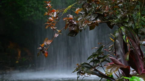Vivid Rainforest Scene Featuring Gentle Waterfall And Calming Atmosphere 스톡 동영상 332735738