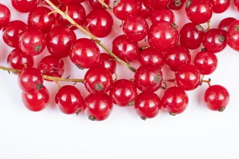 Vivid red currant clusters on bright background. Bright red currants displaye 库存照片