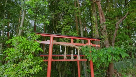 A vivid red Shinto torii gate standing quietly surrounded by bamboo Vídeos de archivo 335257075