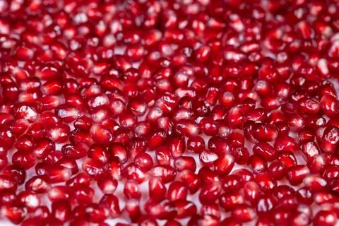 Vivid ruby seeds. Crimson berry seeds cascade vividly across surface. Richl.. Stock Photos