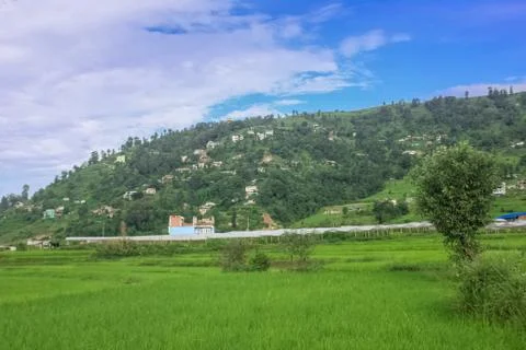 Vivid Scenery of Forest Freshness Along the Mountain Valley Stock Photos