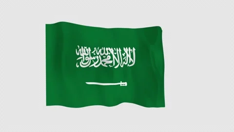 Vivid Seamless Saudi Arabia Loop Alpha Channel Vidéo 342822205