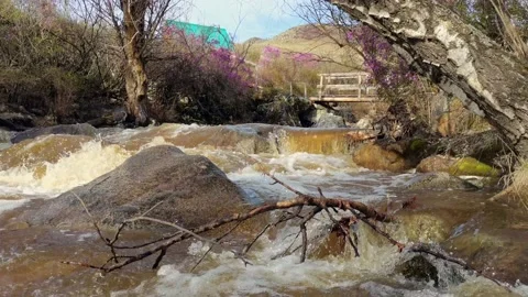 Vivid spring mountain landscape. Video stock 166224345