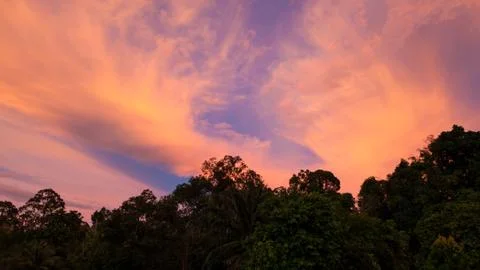 Vivid sunset clouds and trees Stock Photos