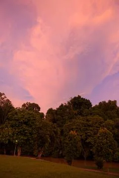 Vivid sunset clouds and trees Stock Photos