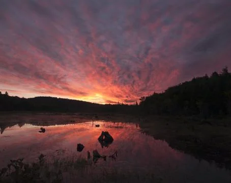 Vivid Sunset Stock Photos