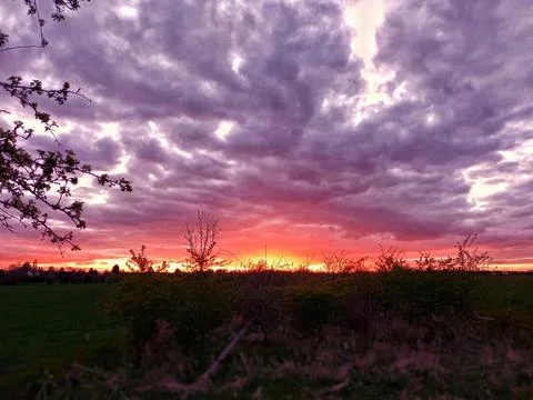 A vivid sunset Stock Photos