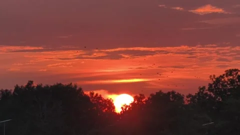 A vivid sunset with the sun partially hidden behind dense trees Stock-Footage 337537381