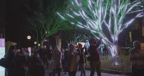 Vivid Sydney 2014 Timelapse Video stock 155739523