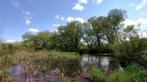 Vivid Time Lapse of a Tranquil Pond and Willow Trees with Clouds Rushing Past Stock Footage 11088647