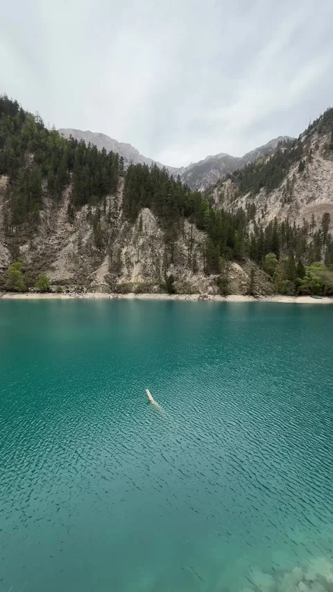Vivid Turquoise Lake Surrounded by Forested Mountains in Jiuzhaigou Sichuan Stock-Footage 337328745