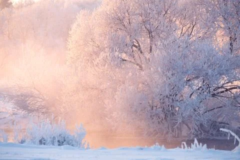 Vivid winter landscape. Stock-Fotos