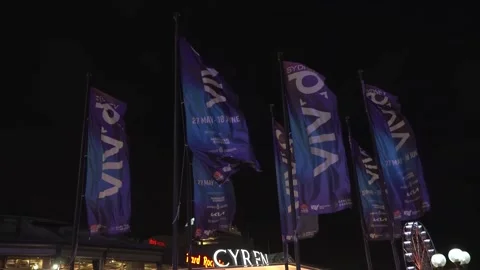 Vivid'22 Flags Blowing Strong Wind Stock Footage 196167591