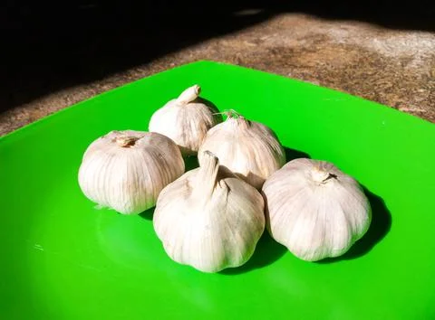 Vividly colored background frames bountiful fruits, vegetables Stock Photos