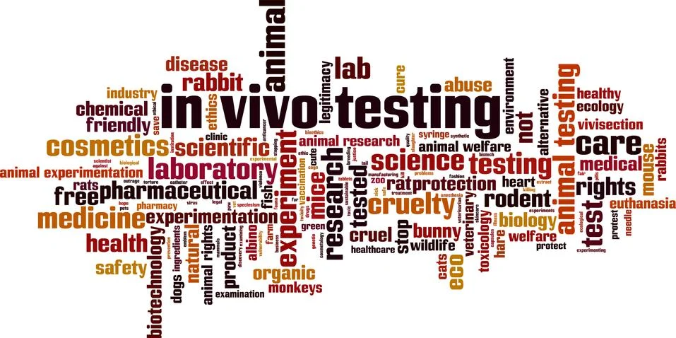 In vivo testing word cloud Stock Illustration