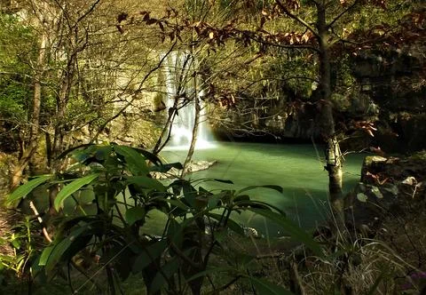 The viwe of the waterfall Stock Photos