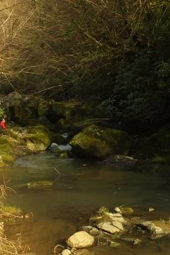 The viwe of the waterfall Stock Photos