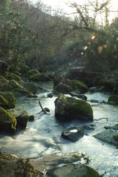 The viwe of the waterfall 스톡 사진