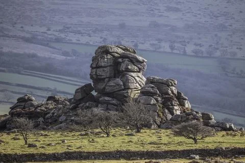 Vixen Tor Devon Fotos Stock