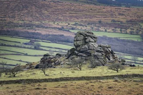 Vixen tor in winter Fotos Stock