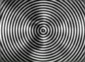 VJ Loop 015 : Beat Web Footage
