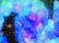 VJ Loop 027 : Blue Molecule Web Footage