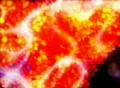 VJ Loop 053 Orange 3D Balls Footage