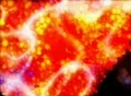 VJ Loop 053 : Orange 3D Balls Web Footage