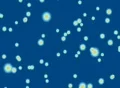VJ Loop 075 : Energy Up - Blue 1 Web Footage