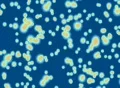 VJ Loop 077 : Energy Up - Blue 2 Web Footage