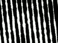 VJ Loop 079 : BW Noise 1 Web Footage
