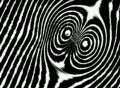 VJ Loop 081 : BW Noise 3 Web Footage