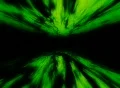 VJ Loop 107 : Stargate - Green 2 Web Footage