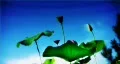 VJ Loop 135 : Lotus Reflections on Water 1 HD Footage